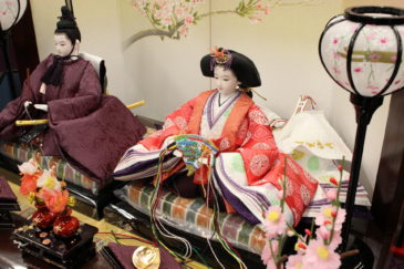 小西実作 PICCONI 陽-ひな- Rinおさげ髪 京製正絹西陣織 京製手描屏風「夜桜」 ピンク飾台 増村人形店 10000524 ひな人形五月人形の増村人形店