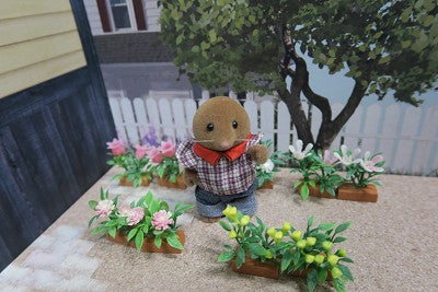 Seriaのミニチュア～ガーデンフェンス～ねね♪の日々を楽しもう♪