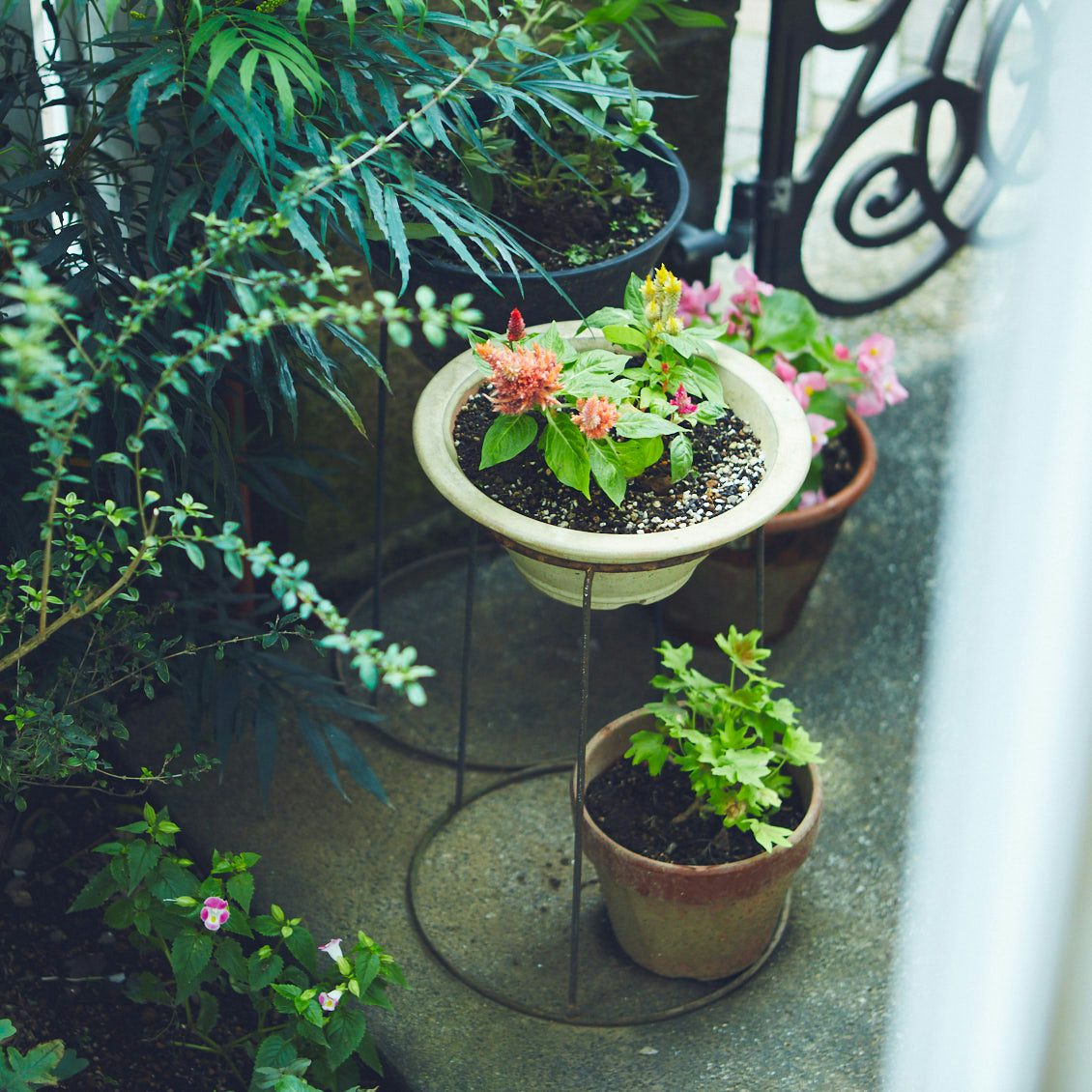 ひっこしました わたしの暮らしづくり 杉浦さやか - メルカリ