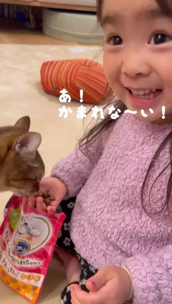 1歳の息子』が猫じゃらしをもって『猫と遊ぼうとした』結果 あまりにも尊い