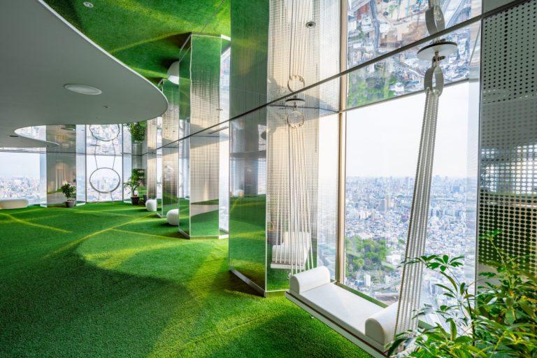 芝生に座る赤ちゃんの写真・画像素材-Snapmart スナップマート