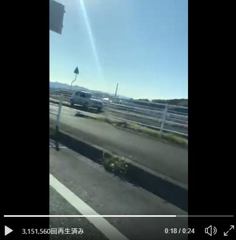 歩道 車 おばあちゃんTikTok