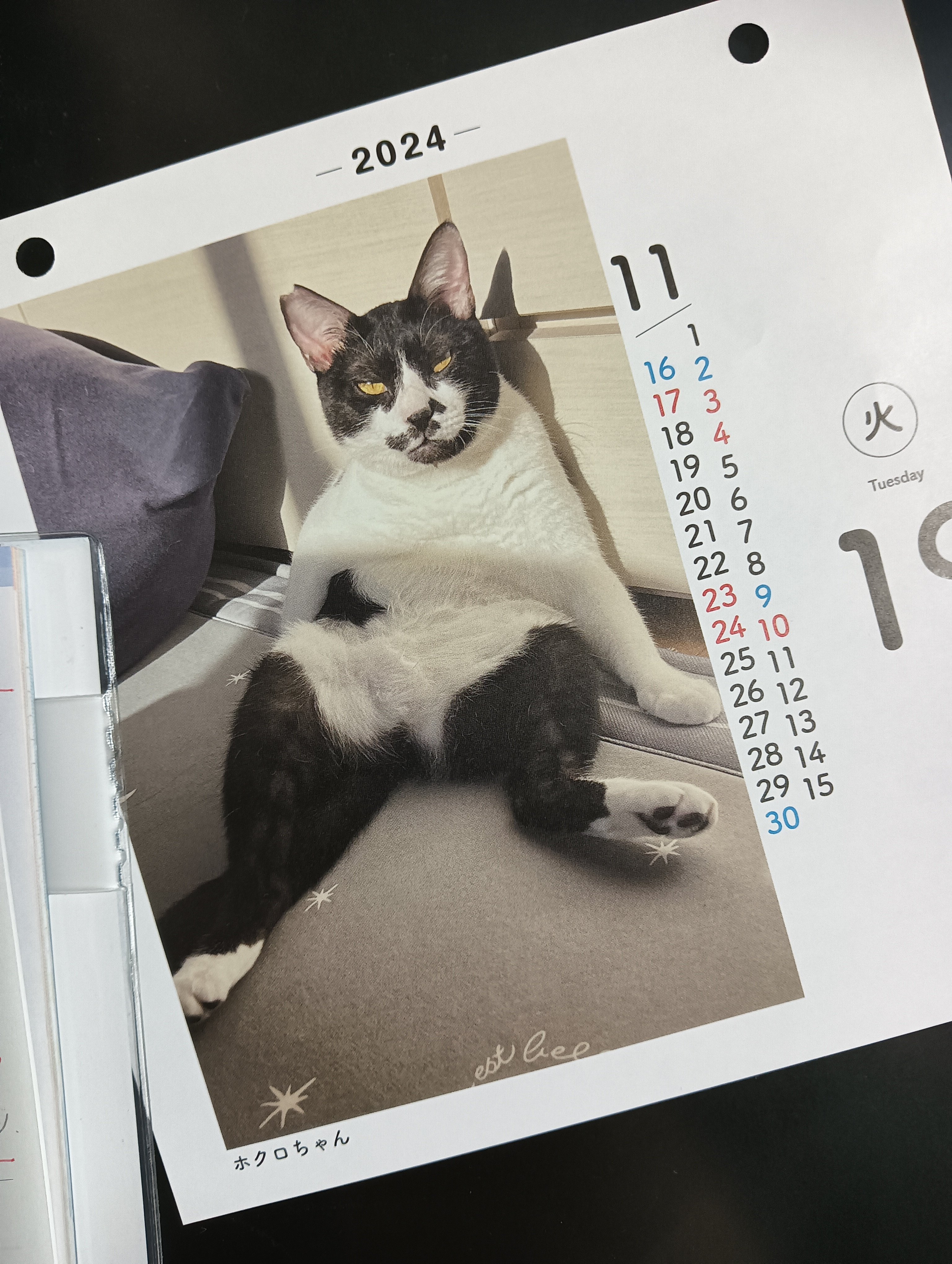 女子が男子に可愛いと言う心理はこれ？ 恋愛相談と脈ありサイン