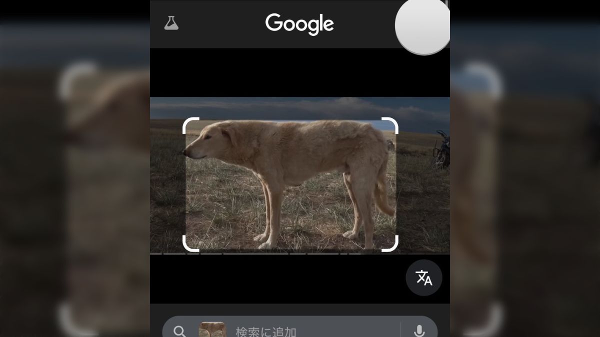 モンゴル人の名前103選モンゴル語の苗字も！男性・女性の名前の意味は？ 2ページChokotty