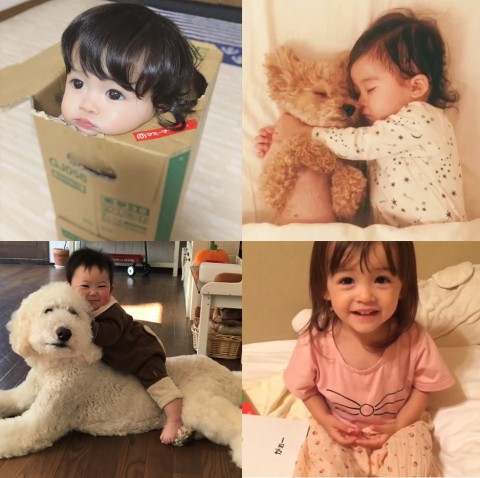 海外セレブの子供かわいいランキング25選 2025最新版RANK1 ランク1 人気ランキングサイト～国内最大級