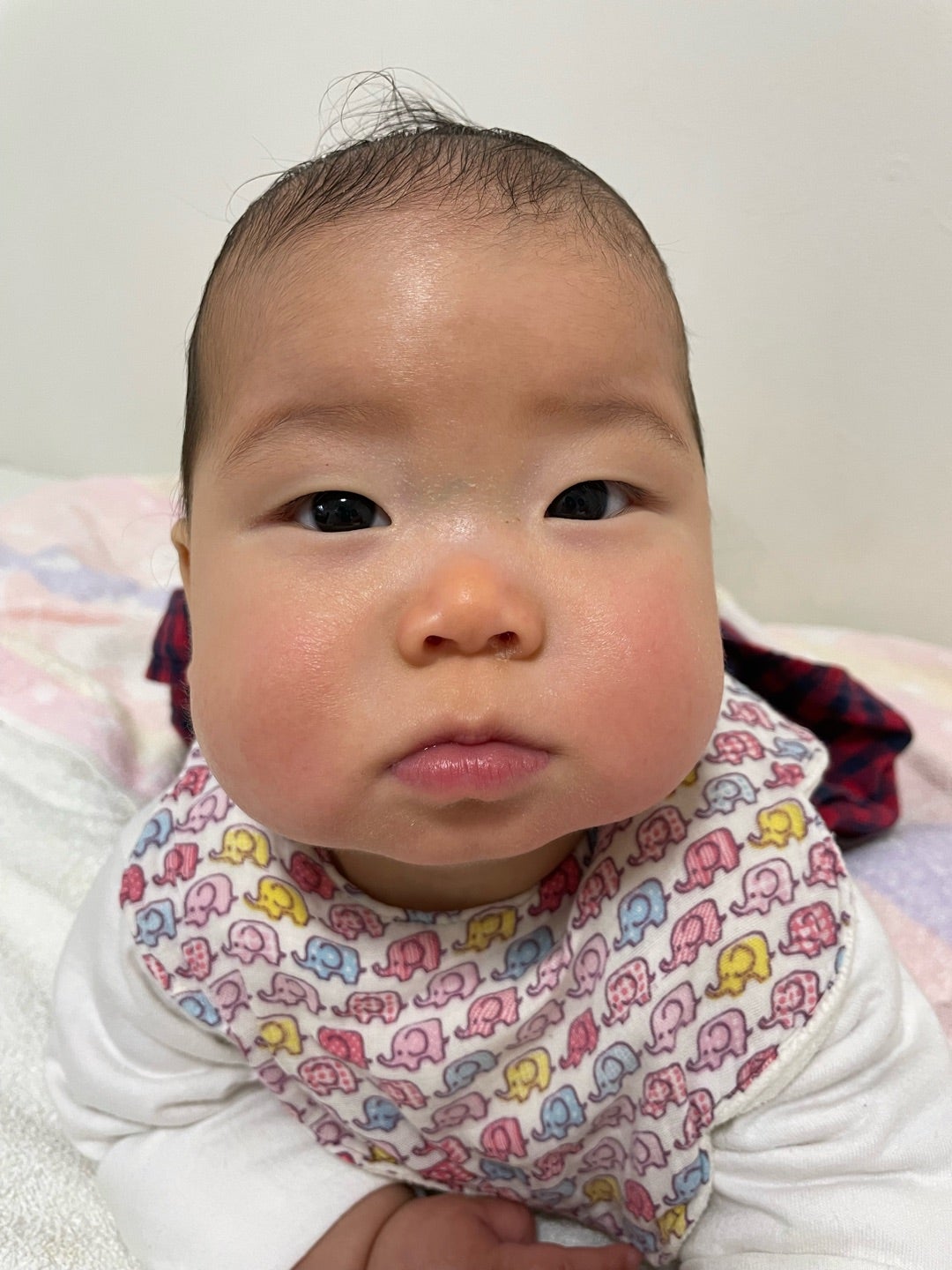 ４Dへののめり込み度が半端ない先生とのエコータイム by にくきゅうぷにお - みんなの体験記 妊娠・出産・育児