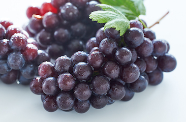 黒いバラード 皮ごと食べられる種無しブドウ を藤沢で販売・通販 - 藤稔発祥の青木果樹園-直売所