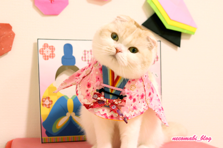 4日20時～クーポンありレンタル 七五三 着物 レンタル 3歳 女の子 被布 着物セット お宮参り 可愛いひなまつり 正月 前撮り 簡単 髪飾り753 貸衣装 三歳 被布コート 往復送料無料 着付けマニュアル付き 新品足袋プレゼント 赤 キティ 3girl-hf-327カウナラ