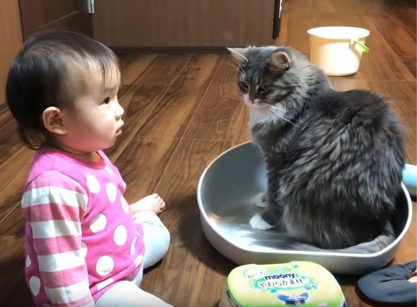 子守りならお任せにゃー 赤ちゃんと猫の幸せな2ショット 15枚– grapeグレイプ